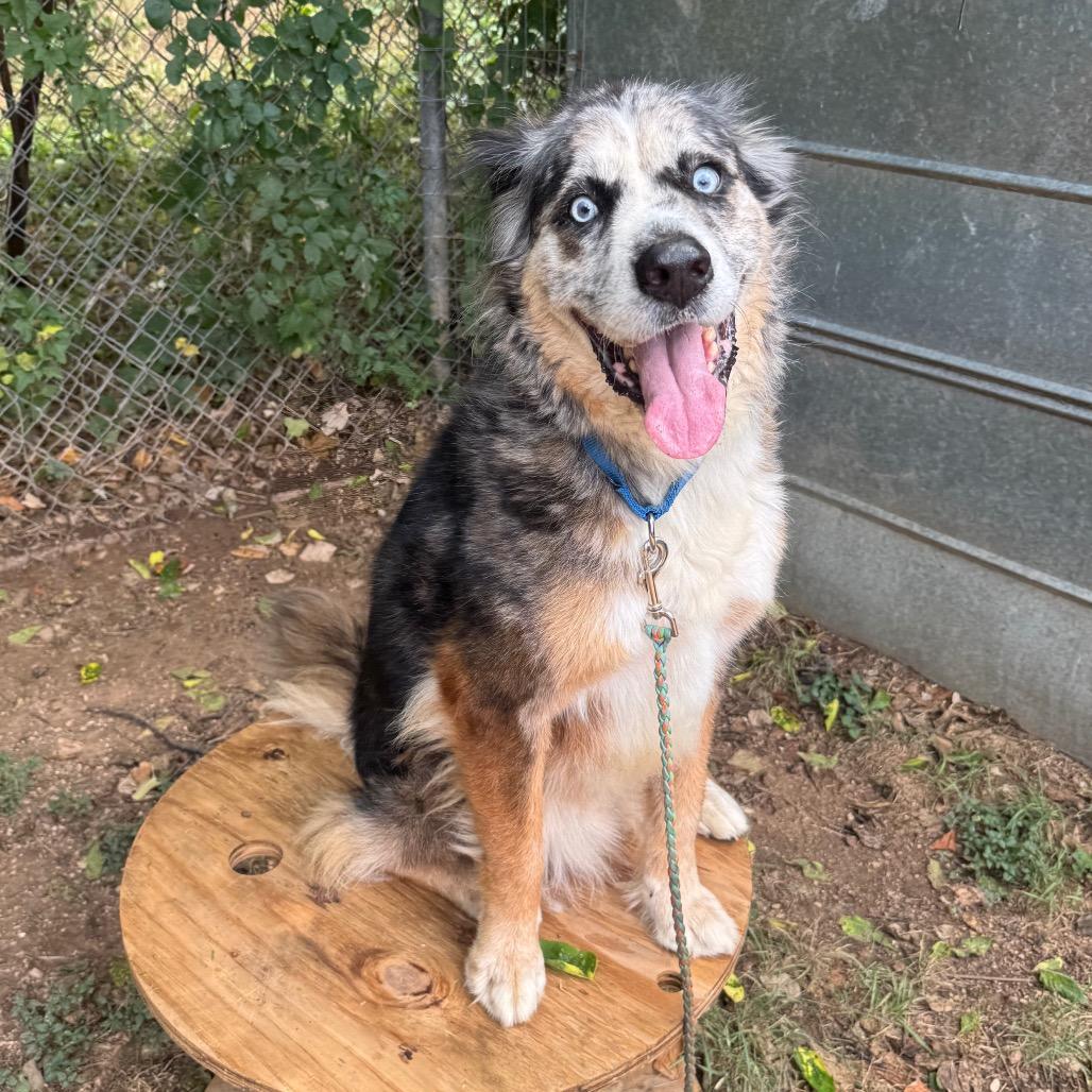 Fondue Platter — thumbnail 3