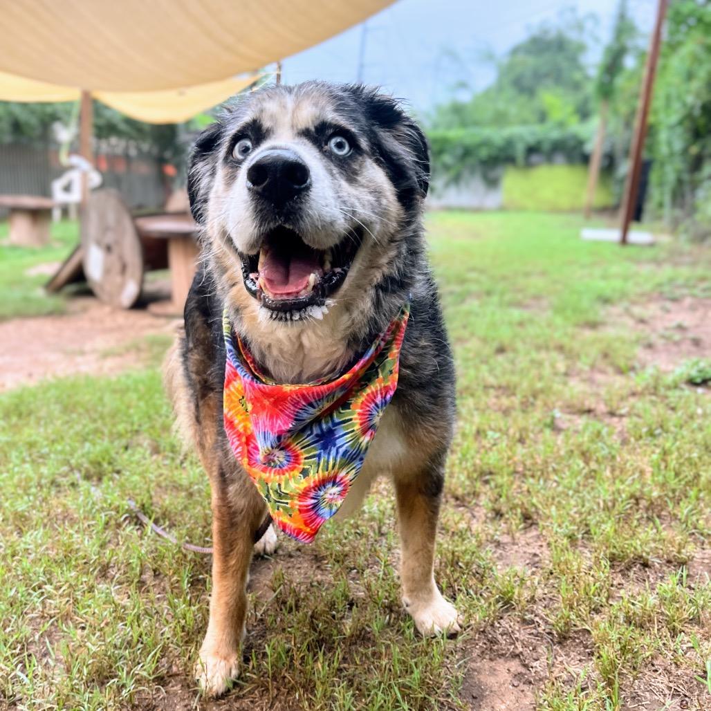 Fondue Platter — thumbnail 4