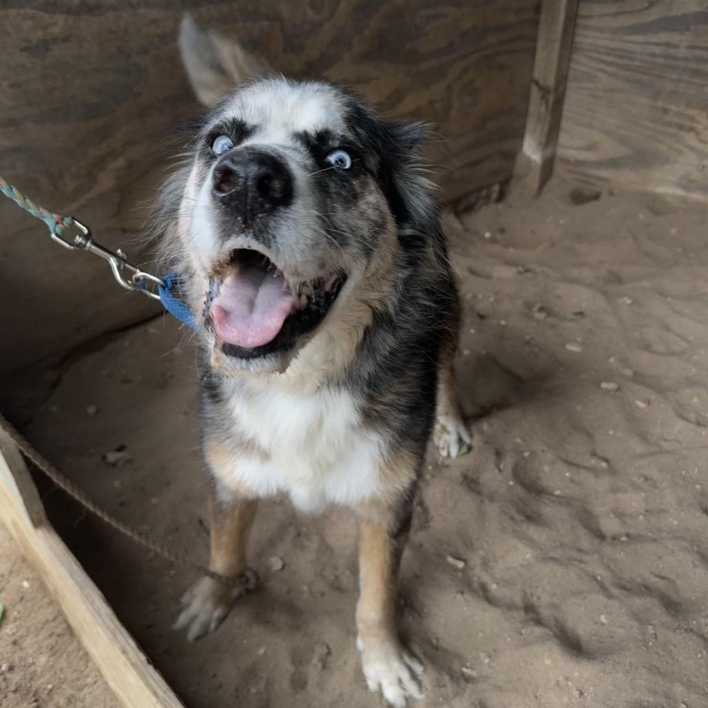 Fondue Platter — thumbnail 5