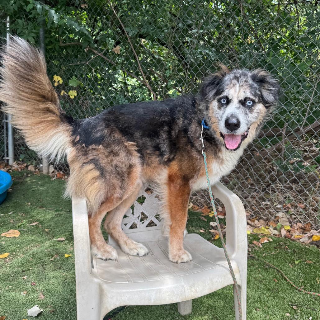 Fondue Platter — thumbnail 6