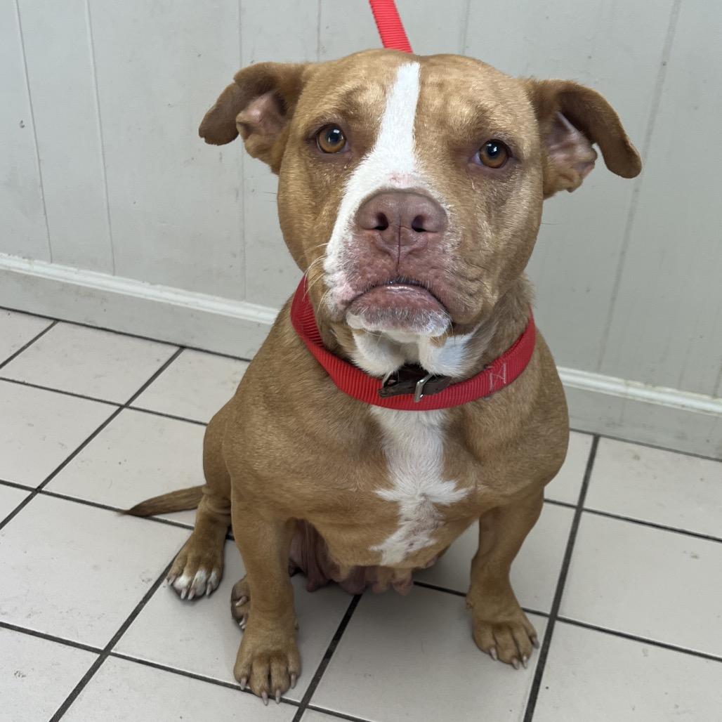 Elsie — thumbnail 2