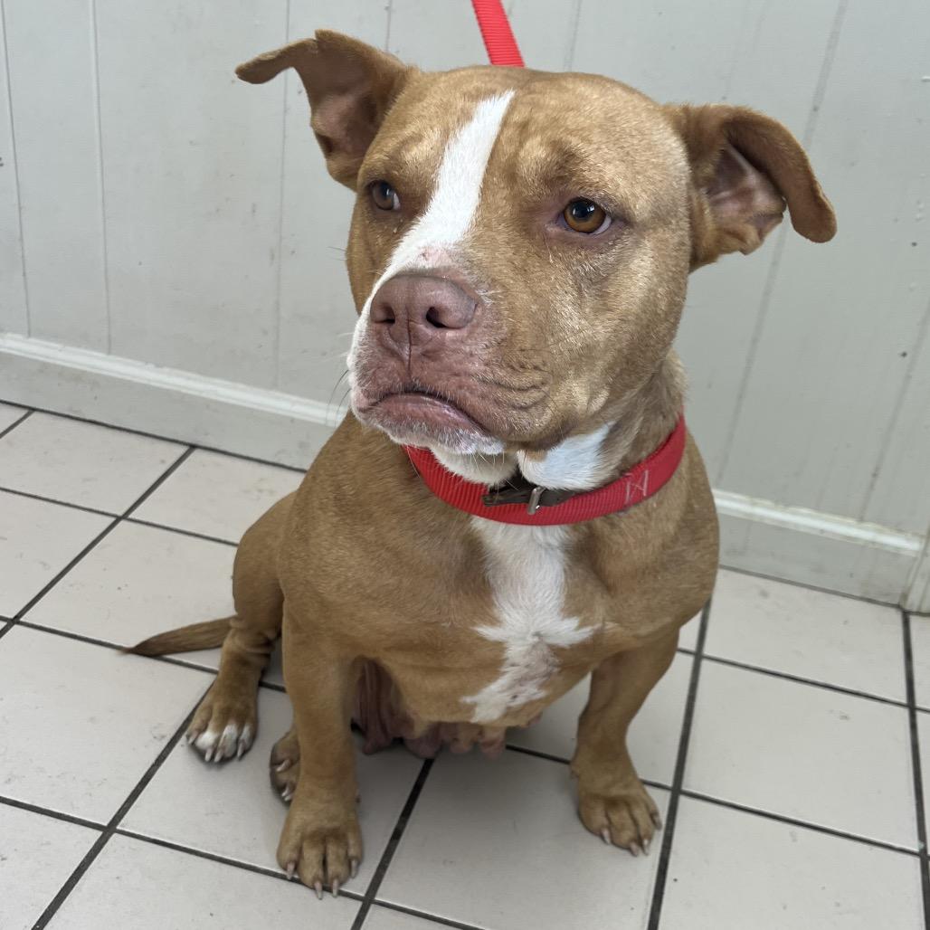 Elsie — thumbnail 5