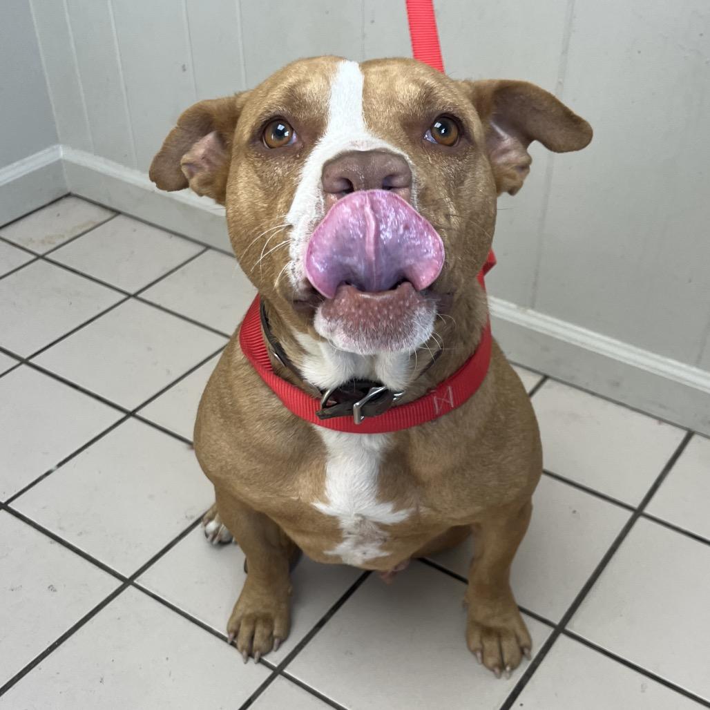 Elsie — thumbnail 6