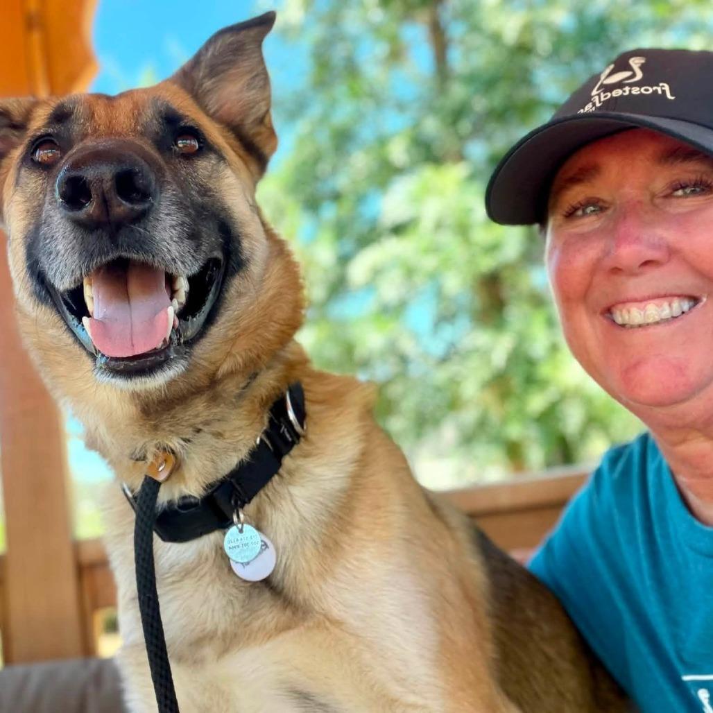 Enlarge Rocket, a Adoptable German Shepherd Dog in Ramona, CA image 5/5