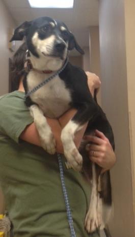 Buster photo 1