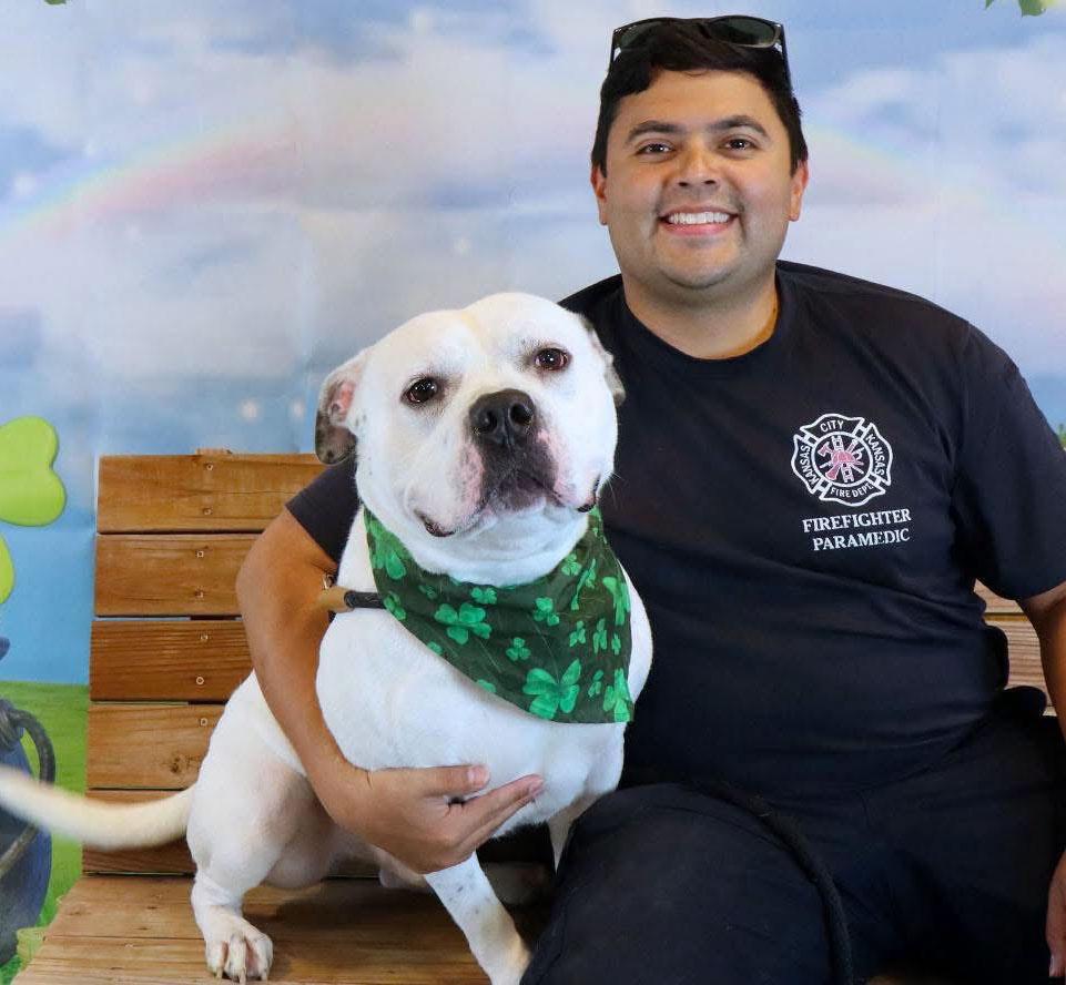 Enlarge McGee (AO35008), a Adoptable mixed breed in Kansas City, KS image 3/6