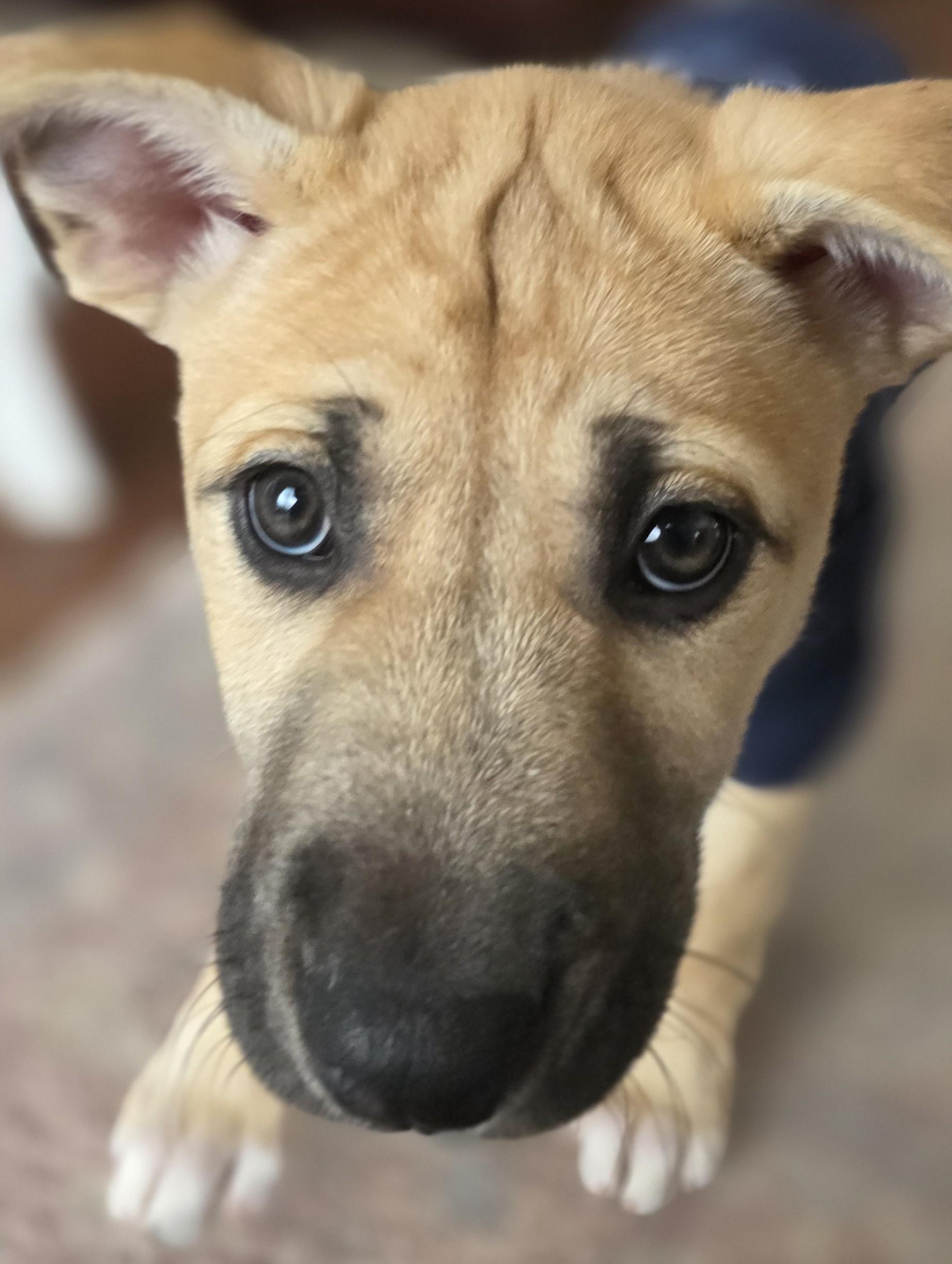 Twin — thumbnail 6