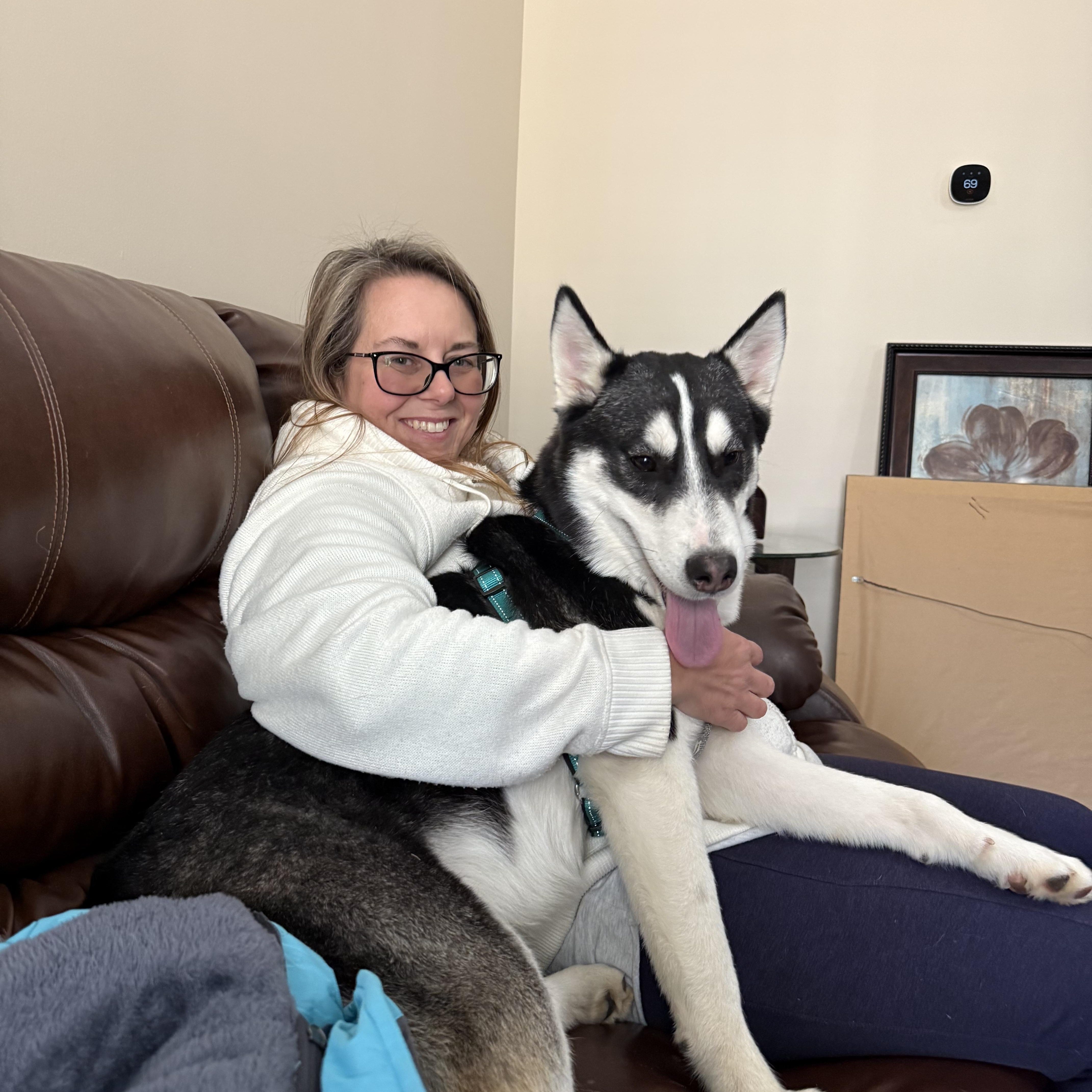 Enlarge Champ, a ADOPTABLE Siberian Husky in Woodstock, GA image 2/6