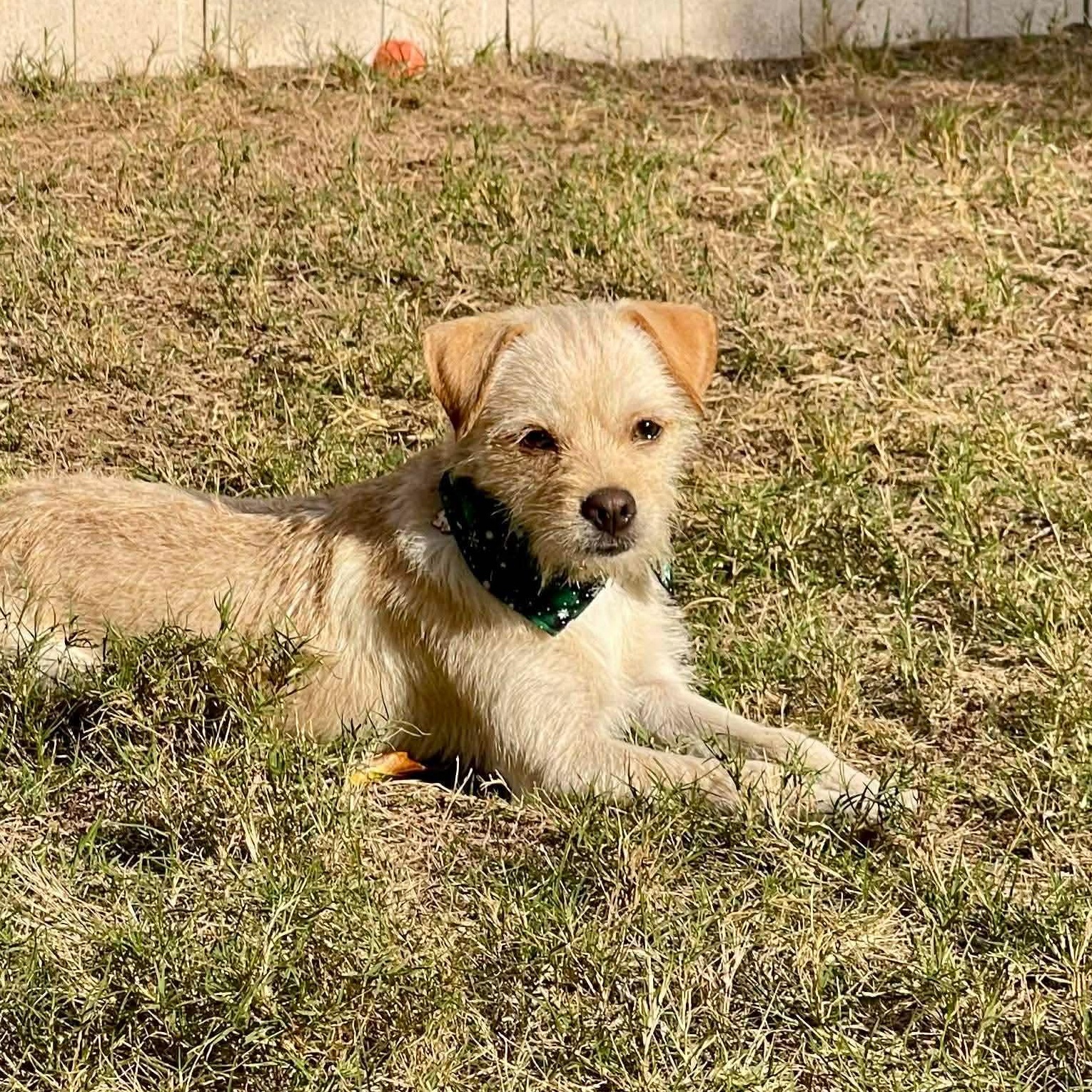 Thomas — thumbnail 2