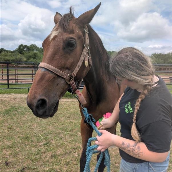 Tulsa, a ADOPTABLE Grade in Cooperstown, NY image 3/6