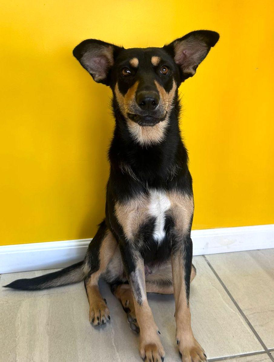 Angela (2) — thumbnail 2