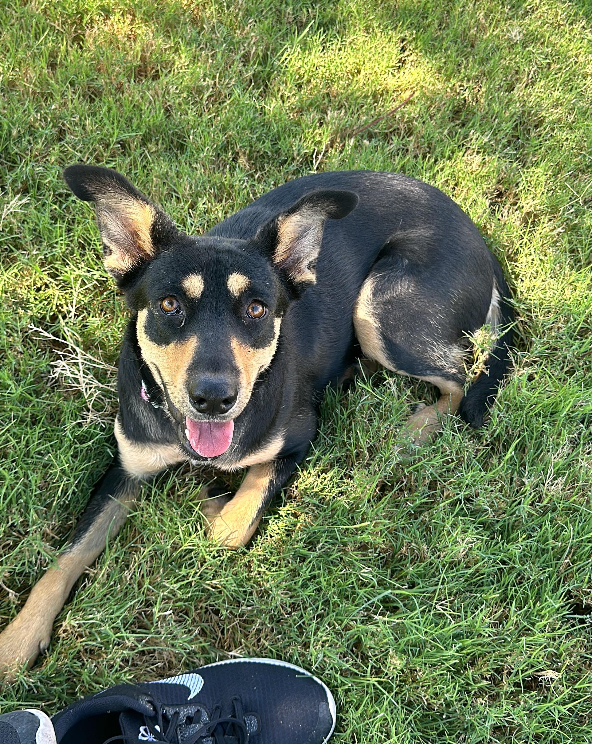 Angela (2) — thumbnail 3