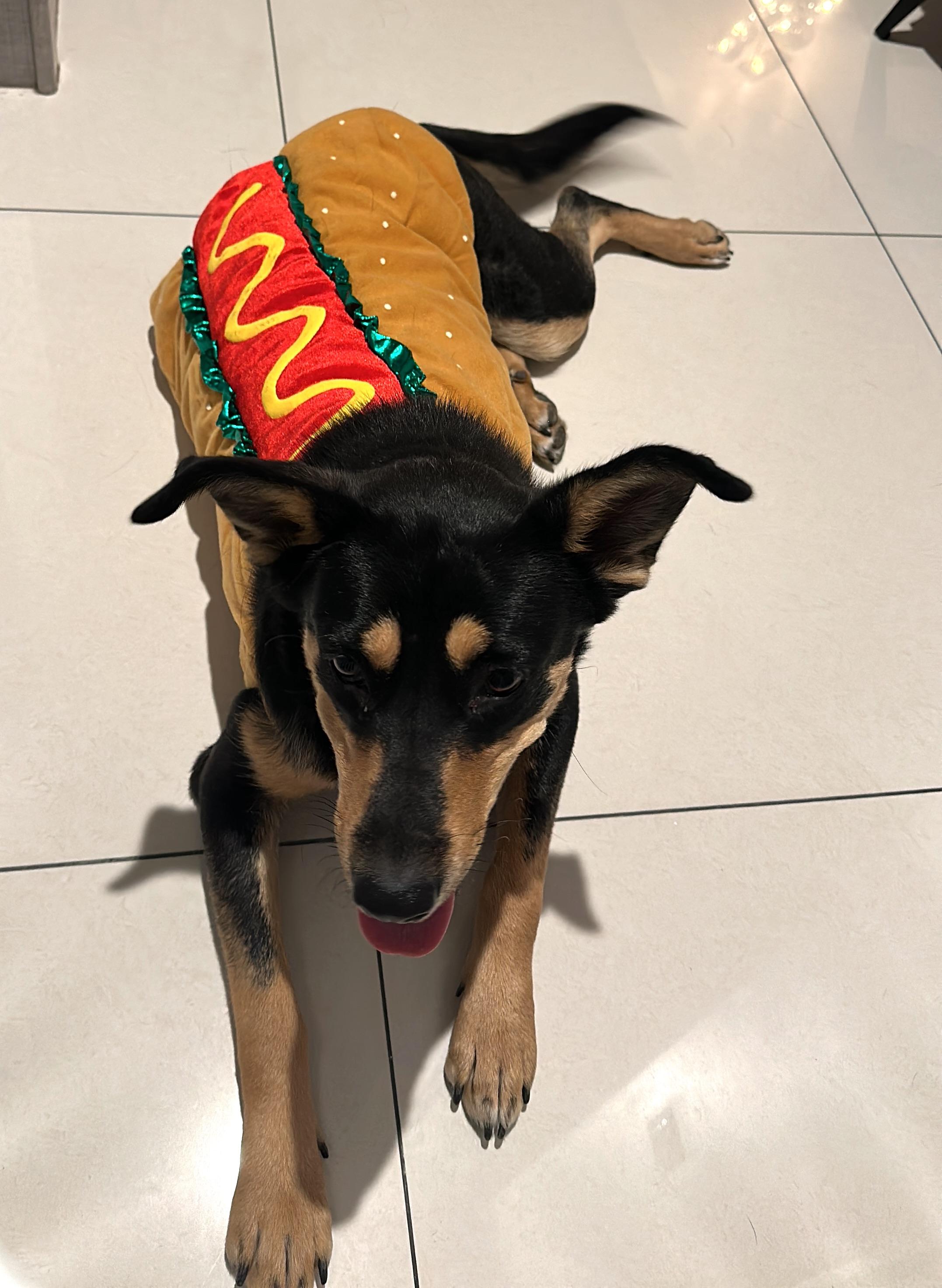 Angela (2) — thumbnail 4