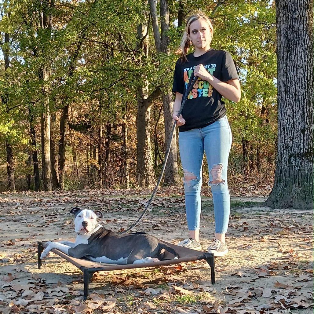 Enlarge Maverick, a Adoptable Pit Bull Terrier in Atoka, TN image 4/6