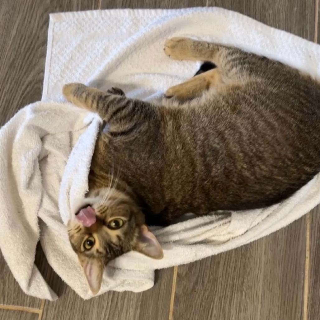 Lilith — thumbnail 2