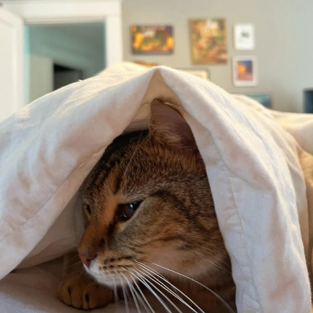 Lilith — thumbnail 3