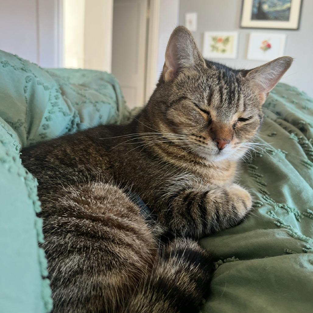 Lilith — thumbnail 4