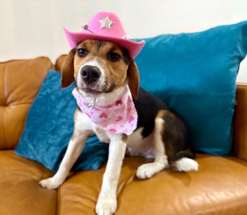 Penny Petite Peanut — thumbnail 2