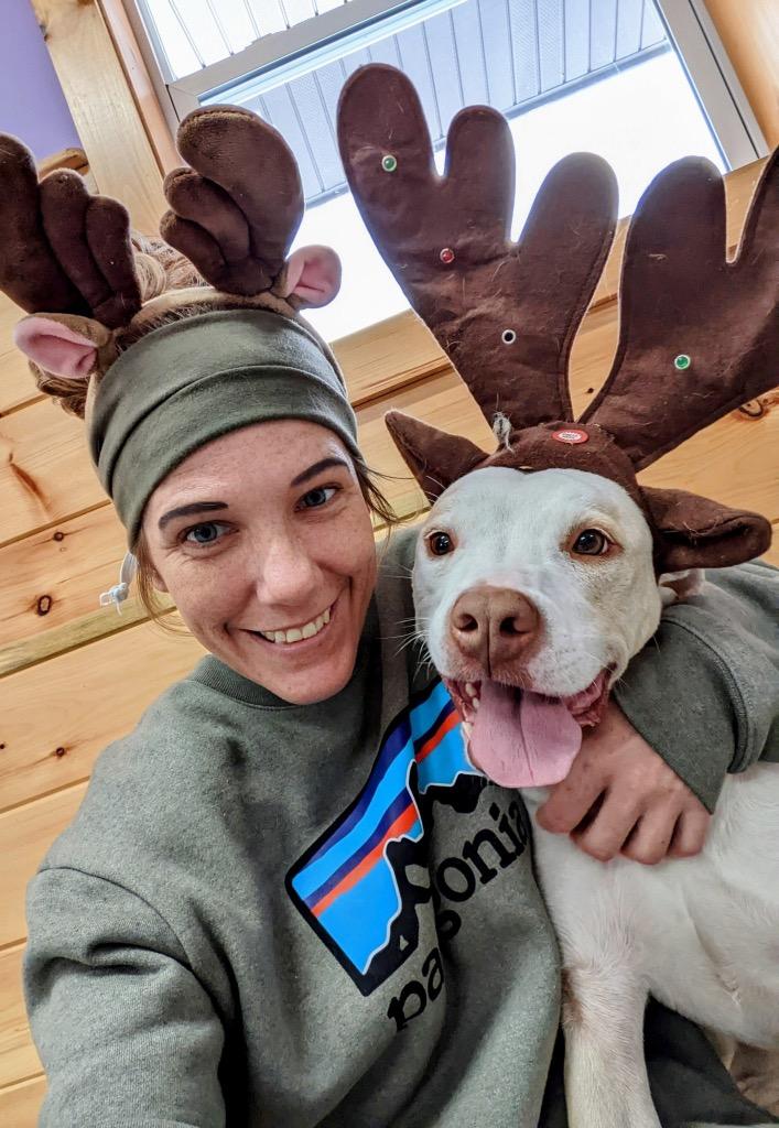 Enlarge Buddy, a Adoptable Pit Bull Terrier in Glenfield, NY image 6/6