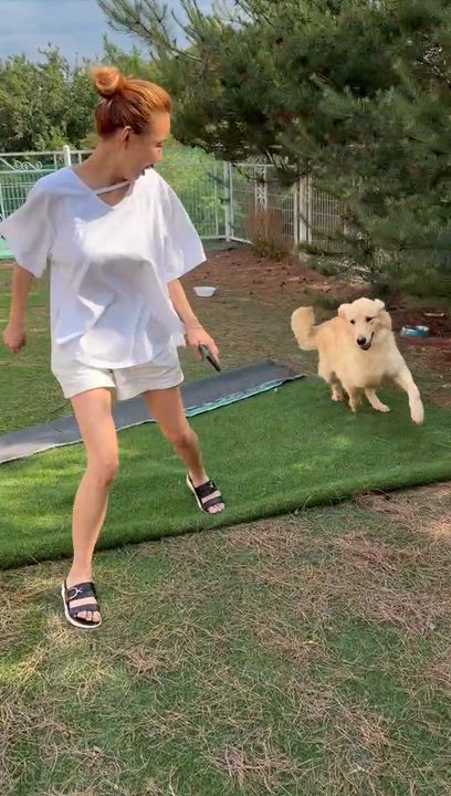 Enlarge Carrie, a ADOPTABLE Golden Retriever in West Hollywood, CA video 5/5