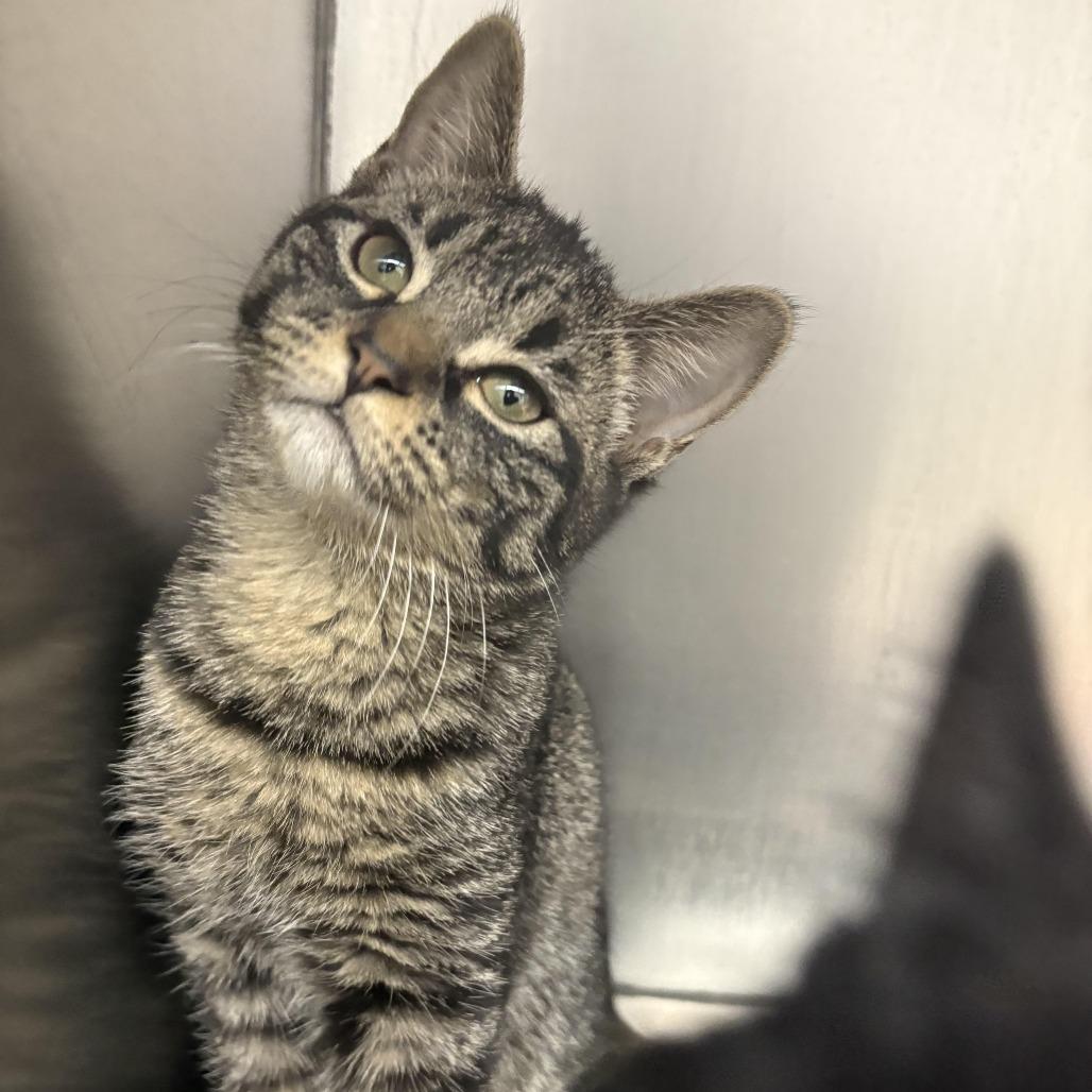 26-59 Flitwick — thumbnail 2