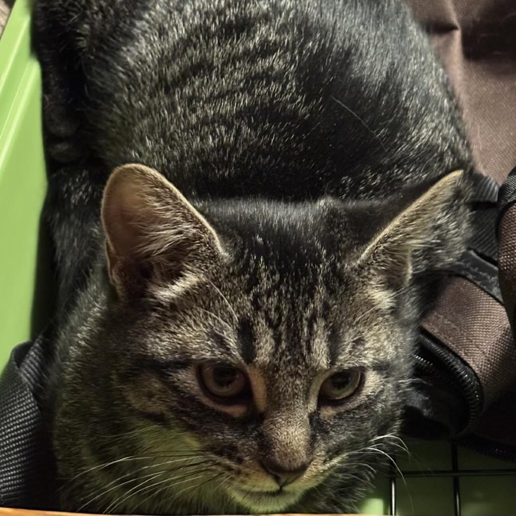 26-59 Flitwick — thumbnail 3