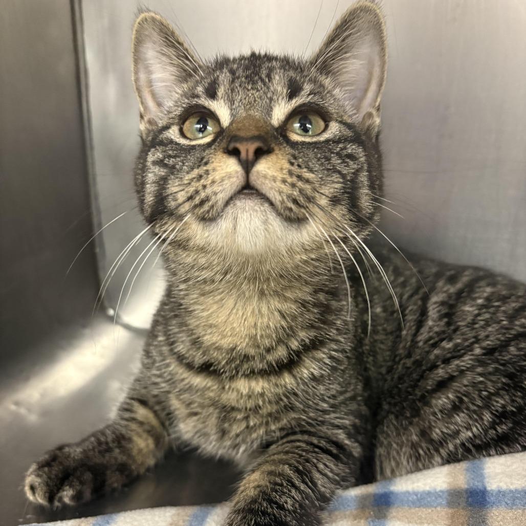 26-59 Flitwick — thumbnail 5