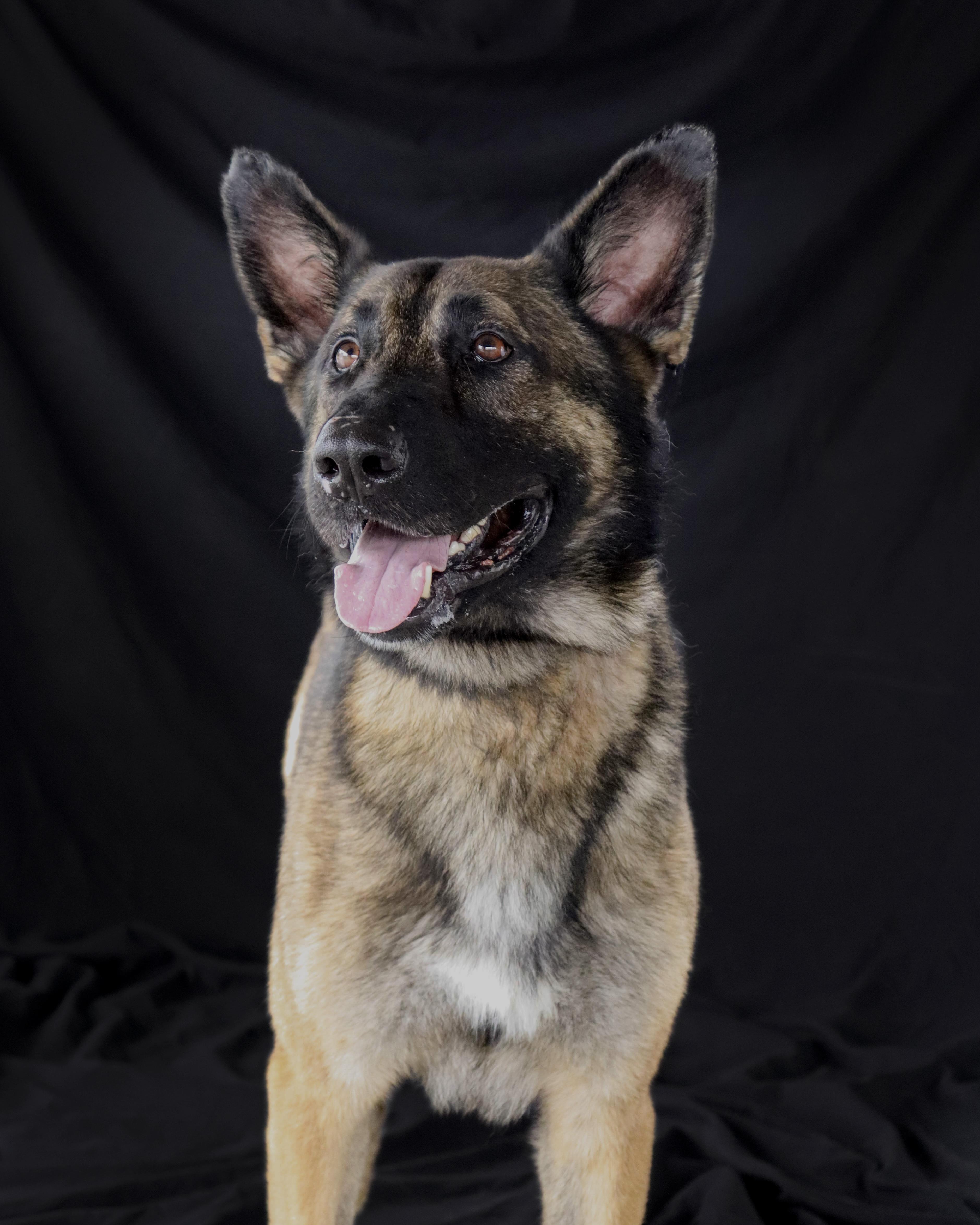 Rufus - AKA Rufus the Dufus!