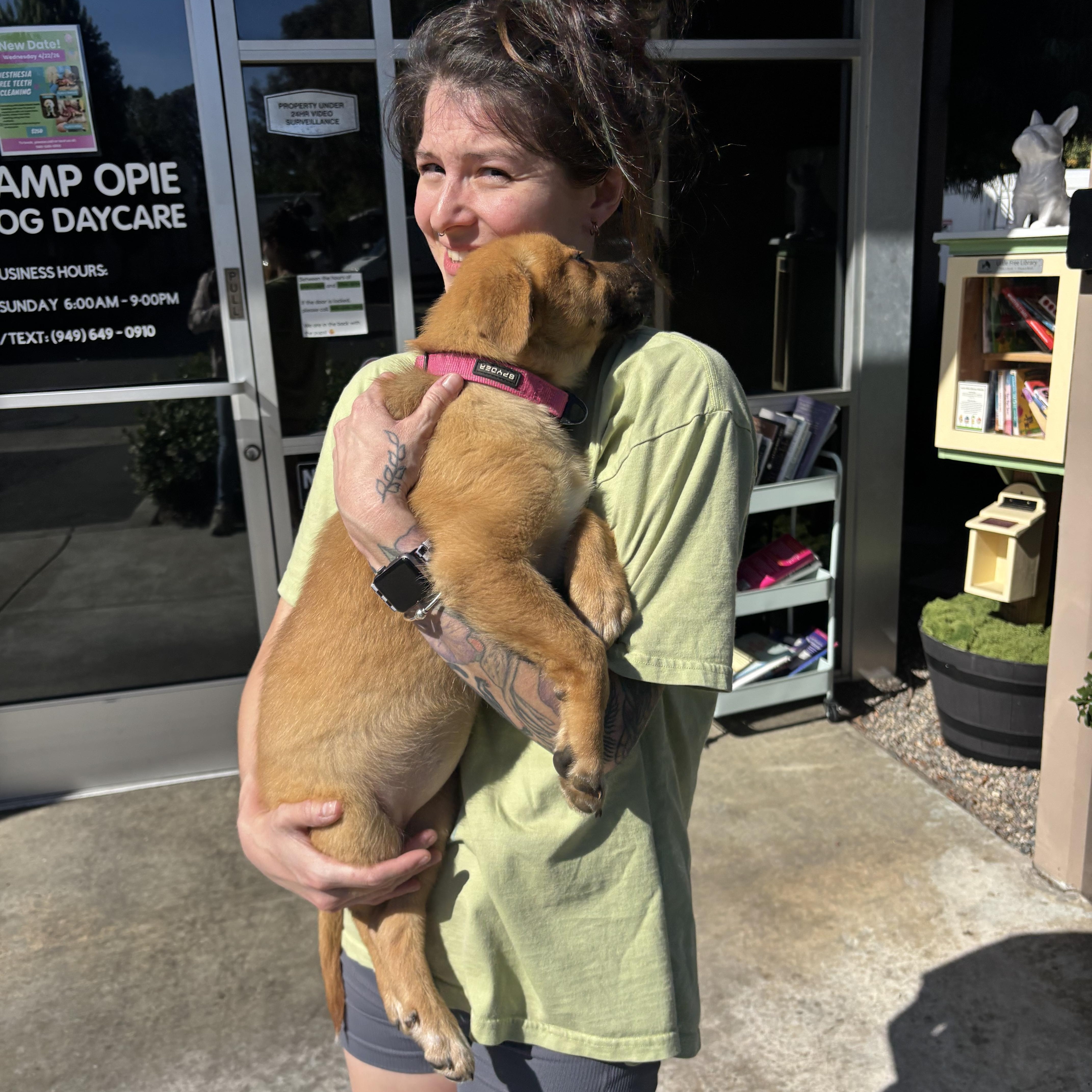 Enlarge Rosie, a ADOPTABLE mixed breed in Rancho Santa Margarita, CA image 6/6