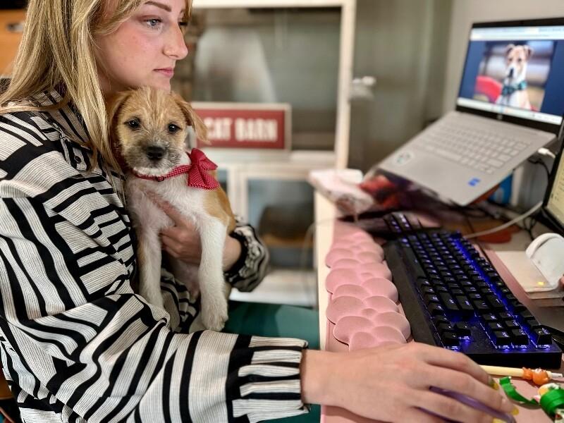 Jimmy Scruffy — thumbnail 3