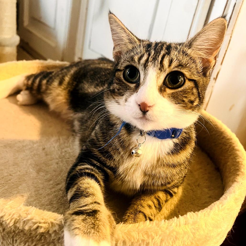 Alessandra Edda — thumbnail 3