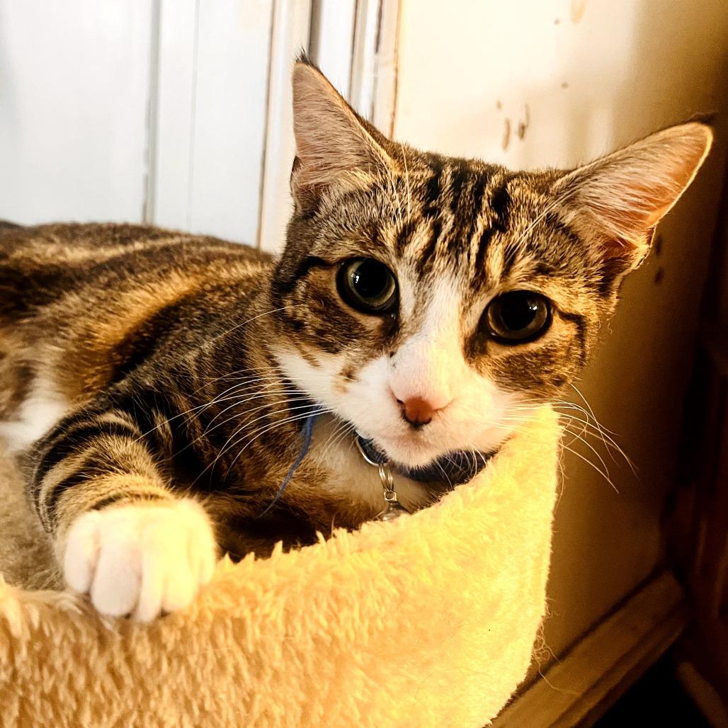 Alessandra Edda — thumbnail 5