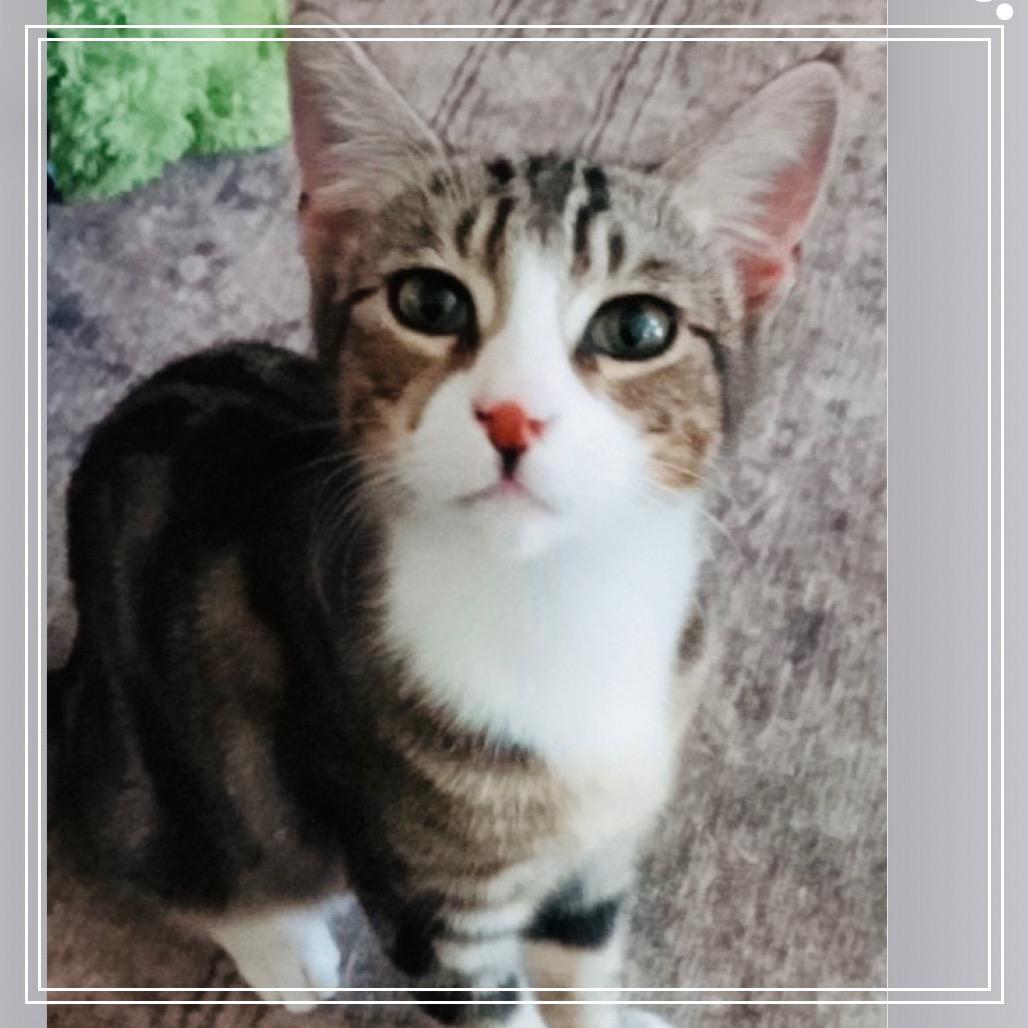 Alessandra Edda — thumbnail 6