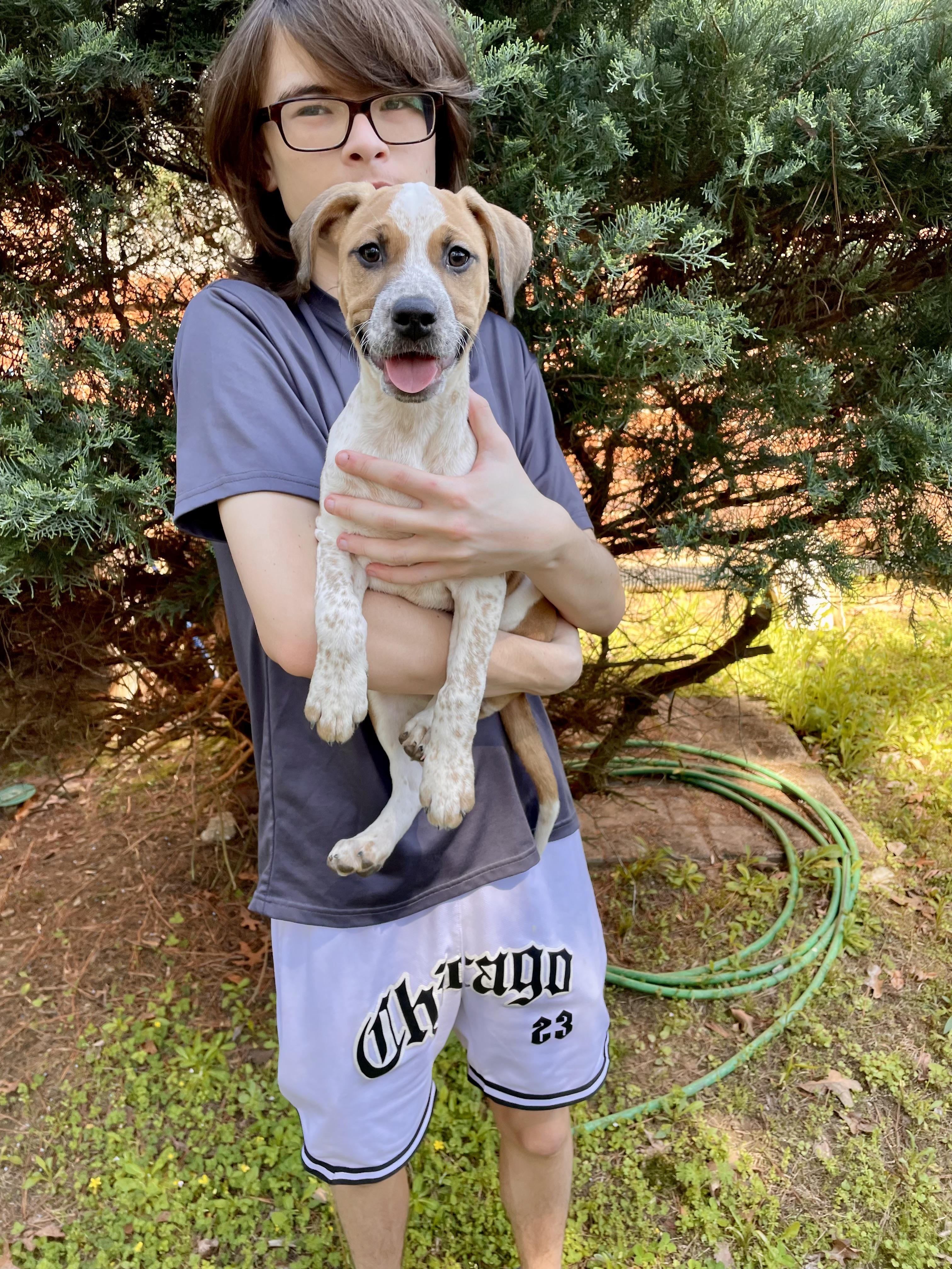 Enlarge Speckles, a ADOPTABLE mixed breed in Alabaster, AL image 2/5