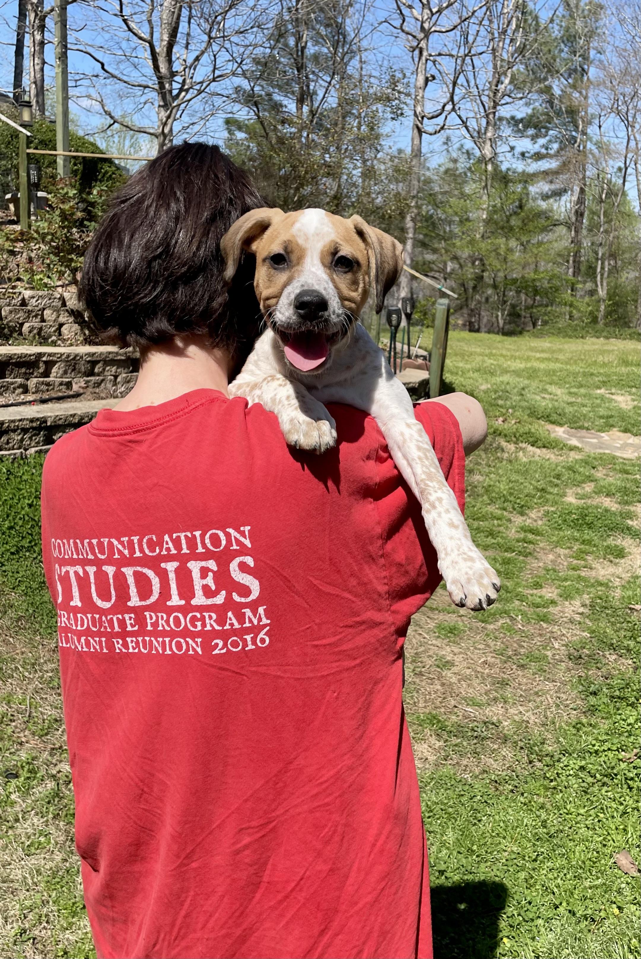 Enlarge Speckles, a ADOPTABLE mixed breed in Alabaster, AL image 3/5