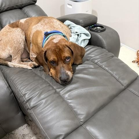 Lucas — thumbnail 2