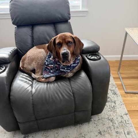 Lucas — thumbnail 3