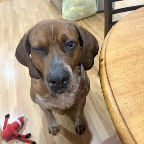 Lucas — thumbnail 4