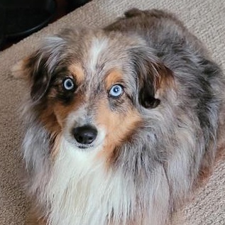 Gretchen — thumbnail 2