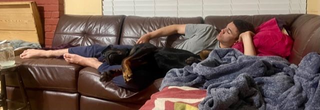 Hugo, a Adopted Rottweiler in Half Moon Bay, CA image 1/5