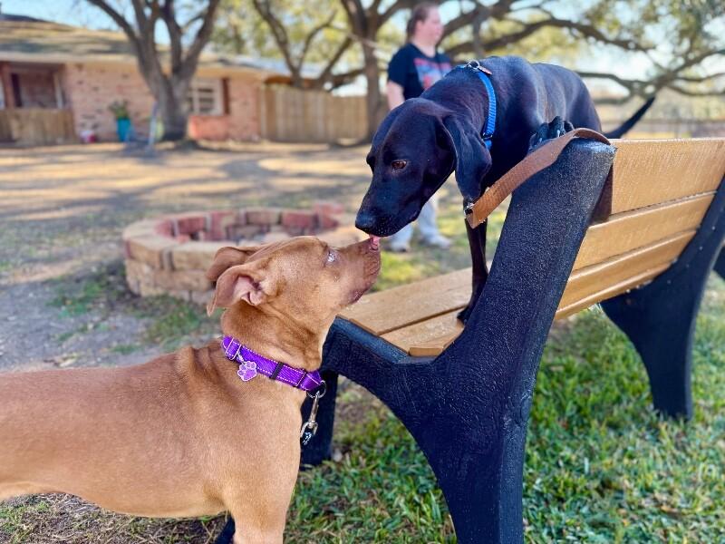 Toby Keith — thumbnail 4