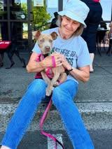 Liberty, a ADOPTABLE mixed breed in Crescent city, CA image 3/5