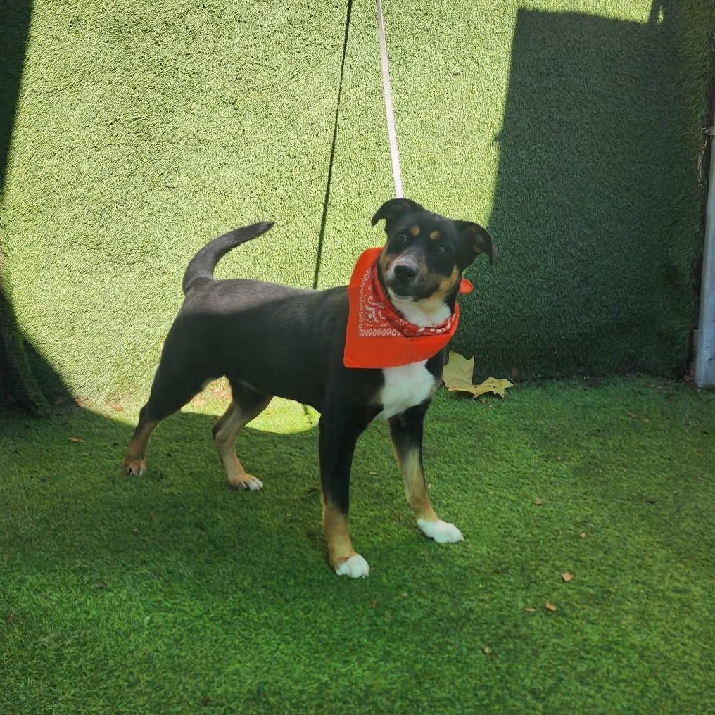 Caroline — thumbnail 4