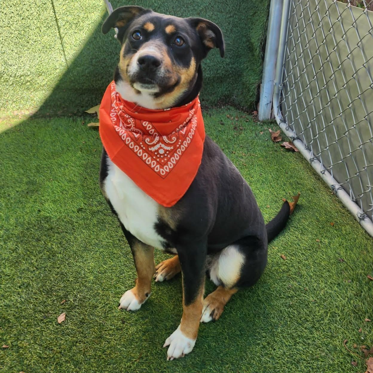 Caroline — thumbnail 6