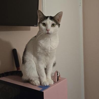 Baby — thumbnail 3