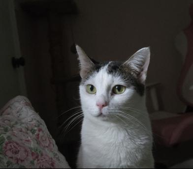 Baby — thumbnail 5