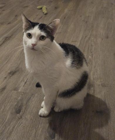 Baby — thumbnail 6