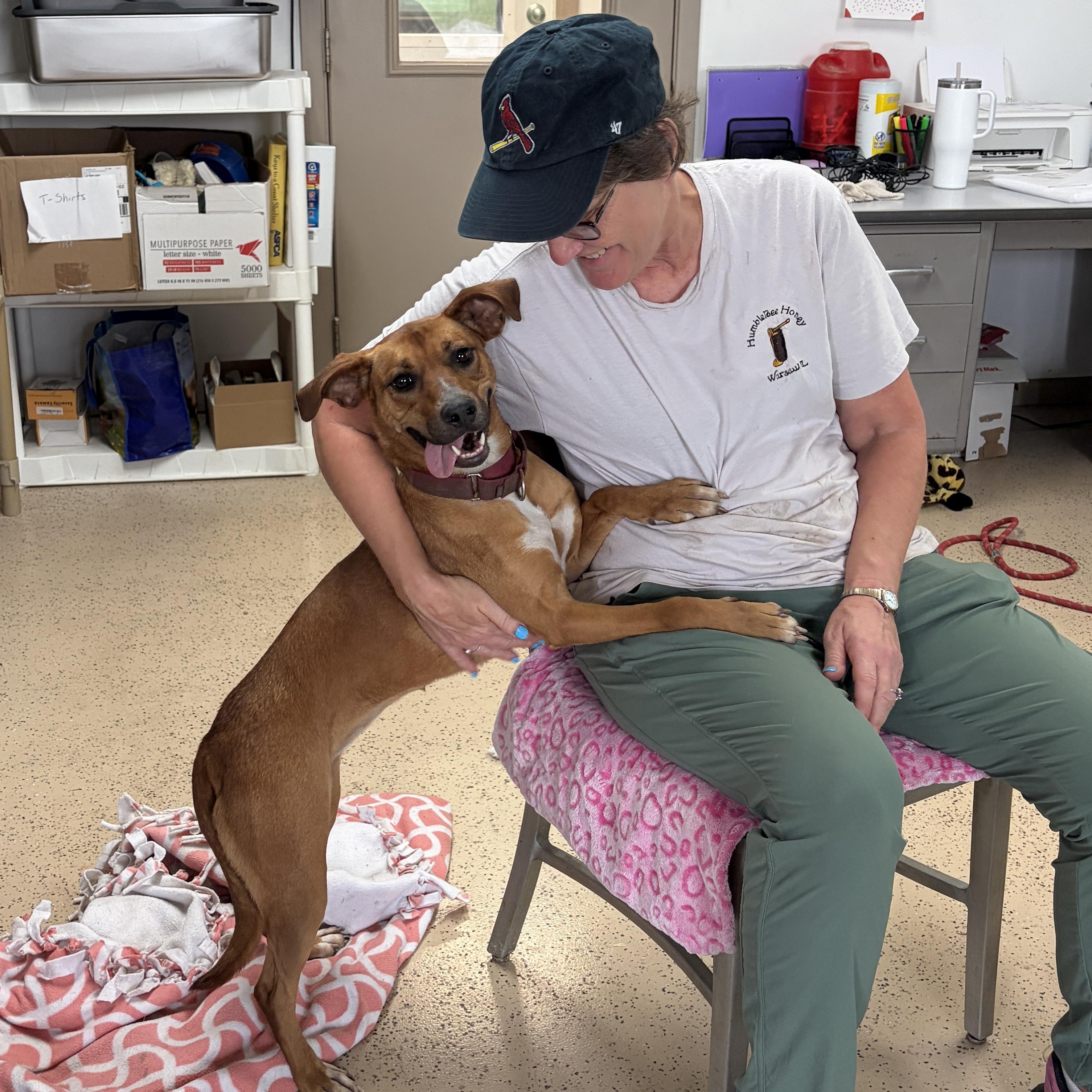 Enlarge Thistle, a Adoptable mixed breed in Carthage, IL image 5/5