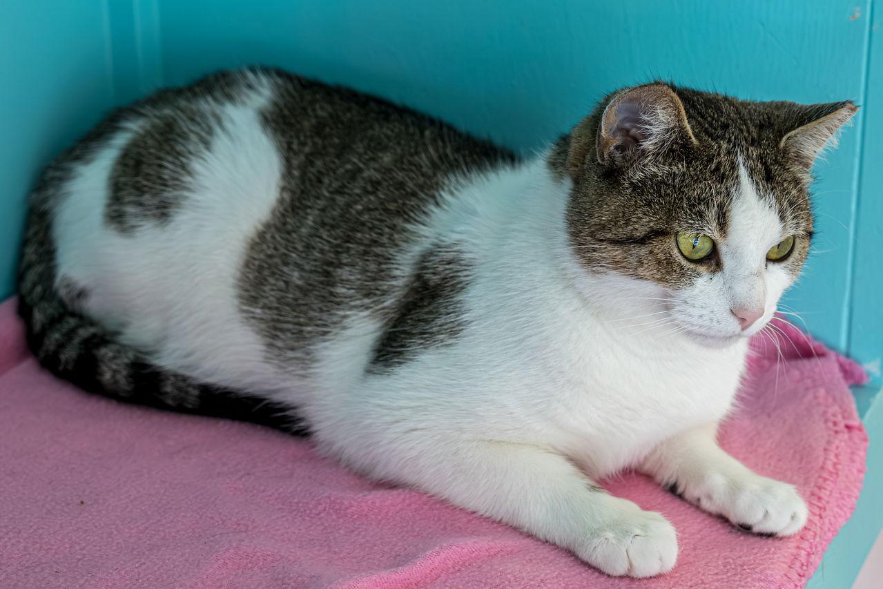 Myriah  Kbc thumbnail 2