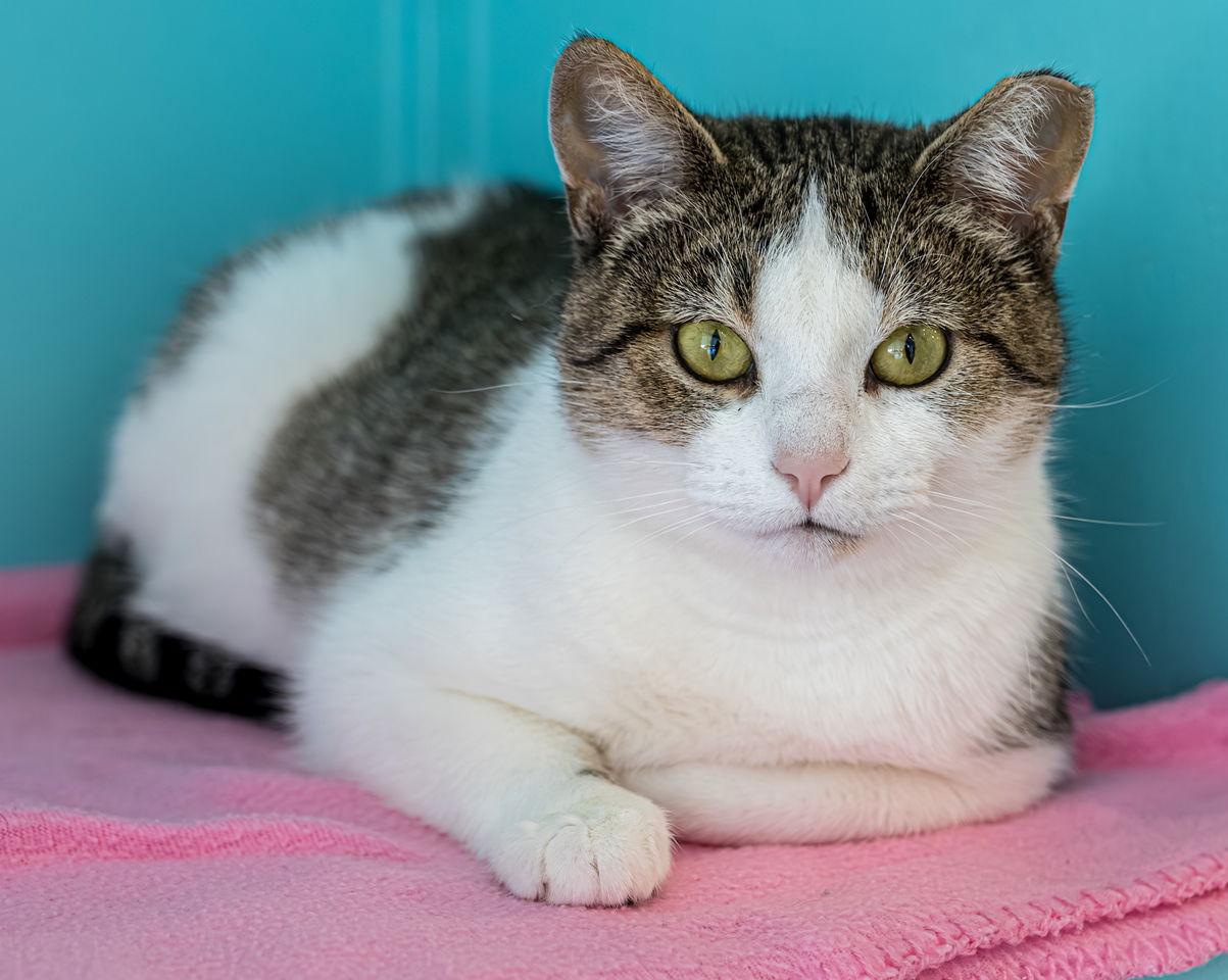 Myriah  Kbc thumbnail 4